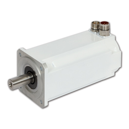 AKM Washdown Motor Medium