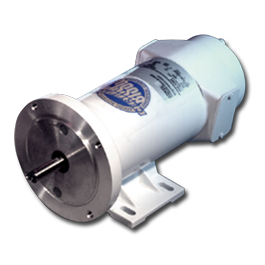 STF Foodgrade Washdown Motor Medium