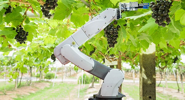 Optimierte Servomotoren sorgen für mehr Präzision und Produktivität bei Agrarrobotern 