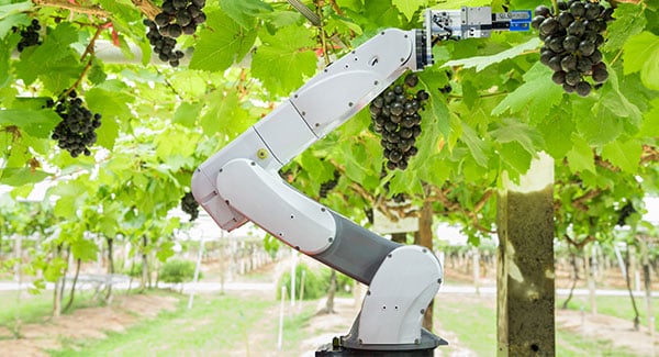 L'ottimizzazione del servomotore può rendere i robot agricoli più precisi e produttivi L'ottimizzazione del servomotore può rendere i robot agricoli più precisi e produttivi