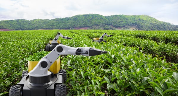 Field robot design: applicazioni di motion control per ambienti difficili e variabili