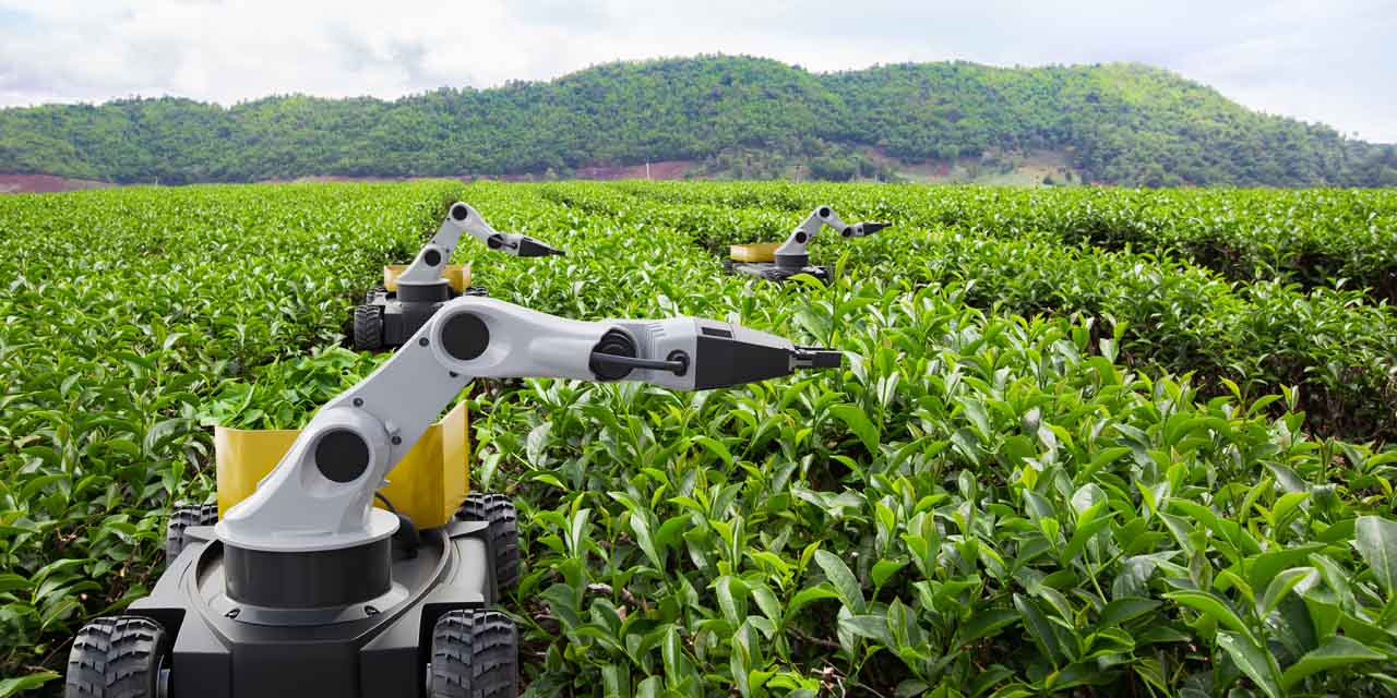 Landwirtschaftliche Roboter bei der Arbeit auf dem Feld