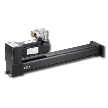 Elektrische Zylinder - N2 Groß Elektrische Zylinder - N2 Groß