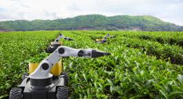 Field robot design: applicazioni di motion control per ambienti difficili e variabili